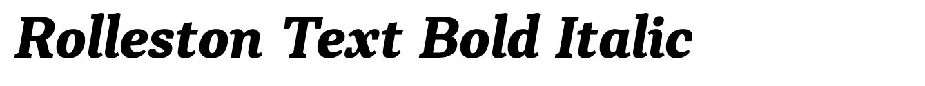 Rolleston Text Bold Italic image